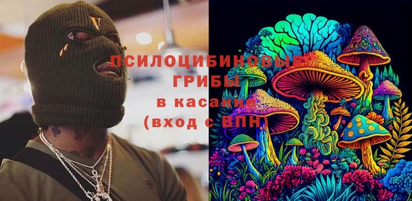 молекула духа Бородино