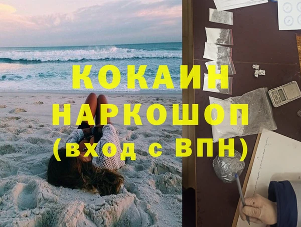 молекула духа Бородино