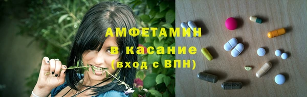 молекула духа Бородино