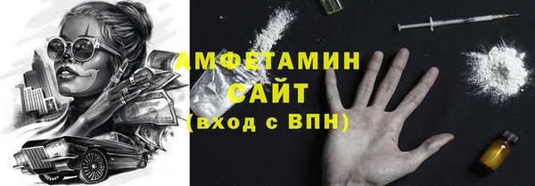 молекула духа Бородино