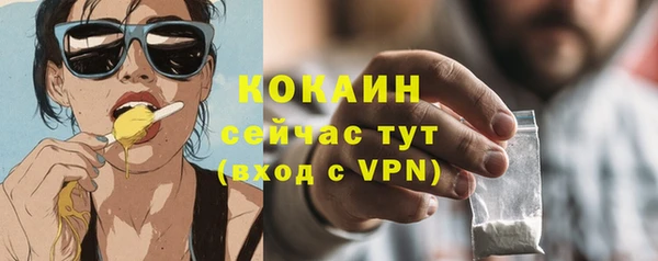 молекула духа Бородино