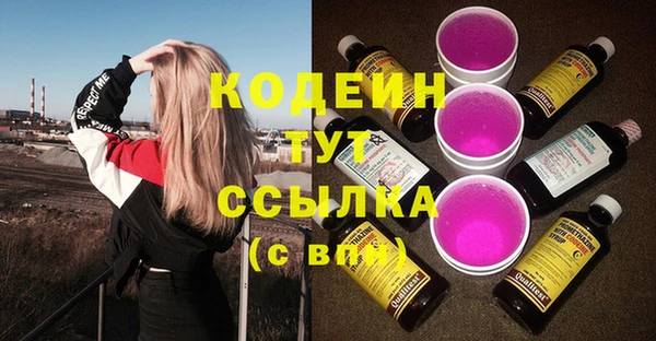 ешки Бронницы
