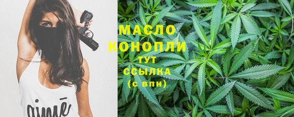 молекула духа Бородино