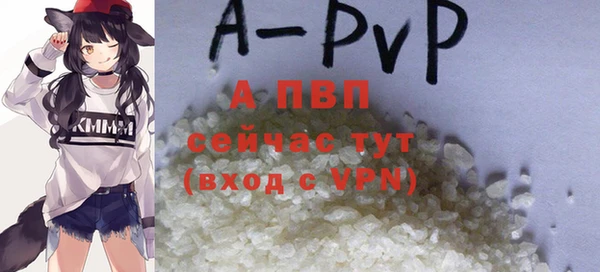 молекула духа Бородино
