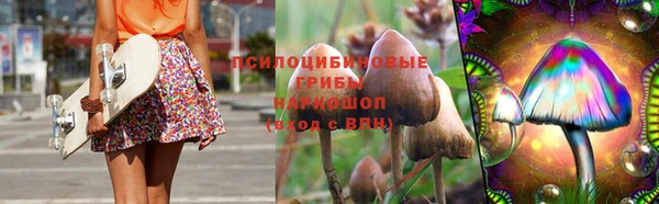 ешки Бронницы